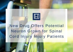 New-Drug-Offers-Potential-Neuron-Grown-for-Spinal-Cord-Injury-Injury-Patients
